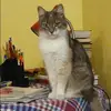 Отзыв от Ксения Кондрашова